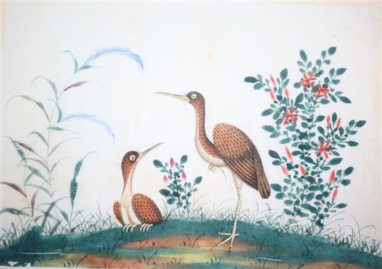 A 19th century Chinese album of 14 paintings on pith paper, birds and figures